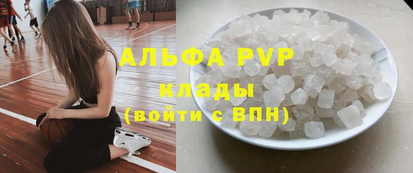 не бодяженный Богданович