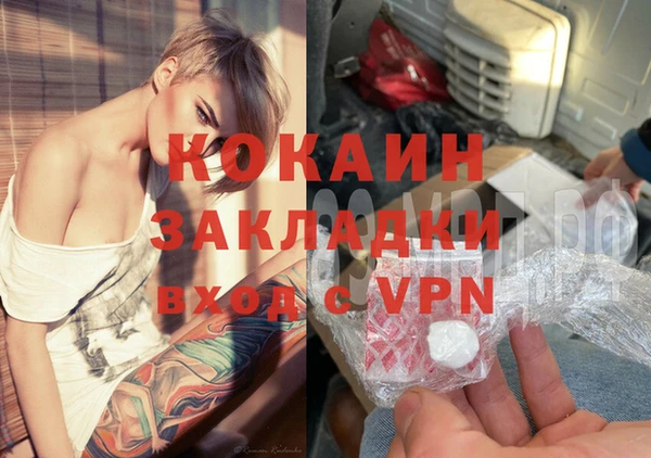 кокс Богородицк