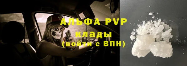 кокс Богородицк