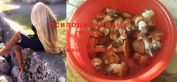 не бодяженный Богданович