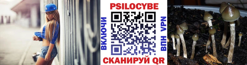 Купить закладки  Елец  Псилоцибиновые грибы мицелий 